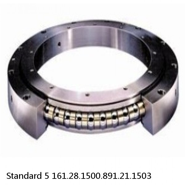 161.28.1500.891.21.1503 Standard 5 Slewing Ring Bearings