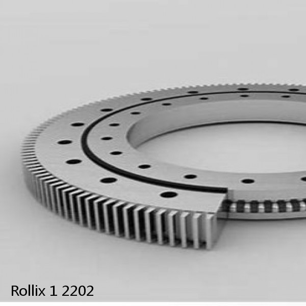 1 2202 Rollix Slewing Ring Bearings