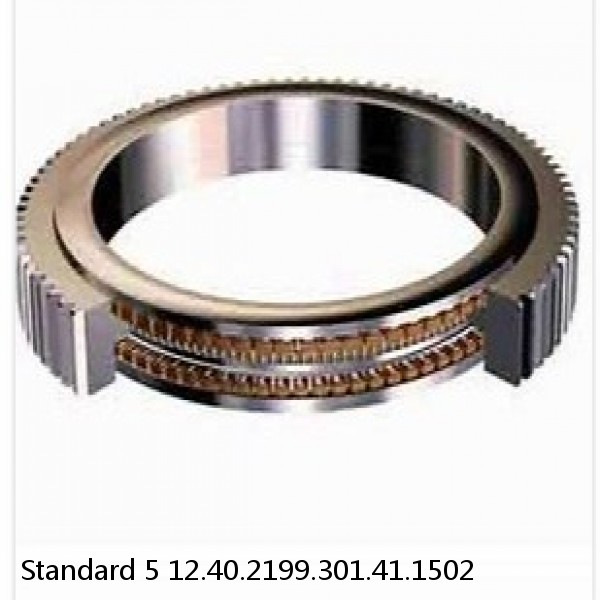 12.40.2199.301.41.1502 Standard 5 Slewing Ring Bearings #1 small image