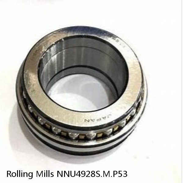 NNU4928S.M.P53 Rolling Mills Sealed spherical roller bearings continuous casting plants