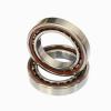 FAG NU1006  Cylindrical Roller Bearings #1 small image
