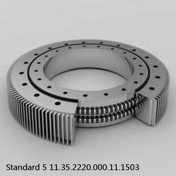 11.35.2220.000.11.1503 Standard 5 Slewing Ring Bearings #1 image
