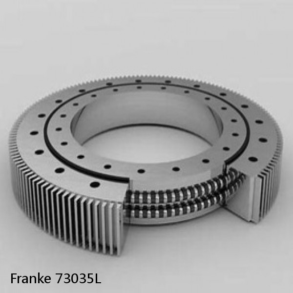 73035L Franke Slewing Ring Bearings #1 image
