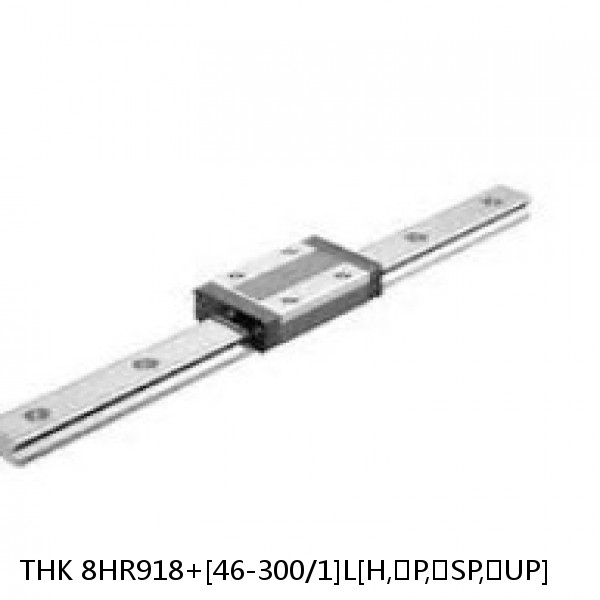 8HR918+[46-300/1]L[H,​P,​SP,​UP] THK Separated Linear Guide Side Rails Set Model HR #1 image
