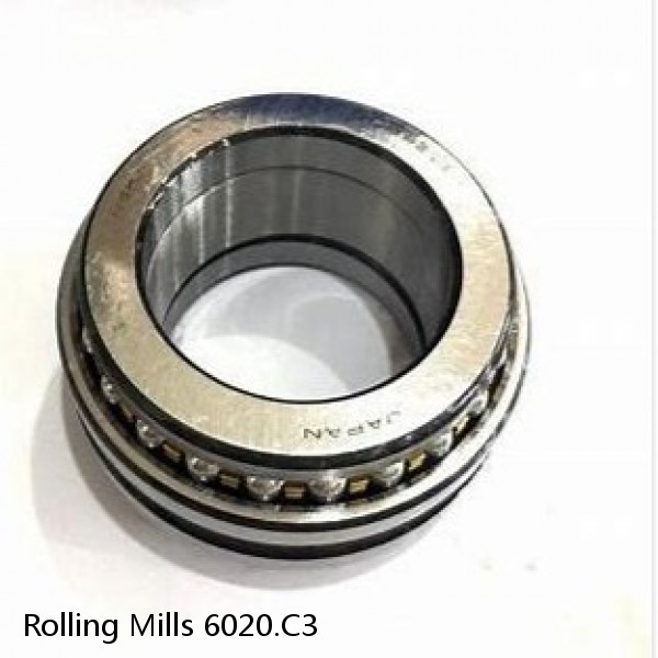 6020.C3 Rolling Mills Sealed spherical roller bearings continuous casting plants #1 image